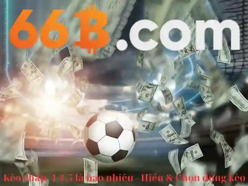 66b và ứng dụng trong công nghệ dữ liệu