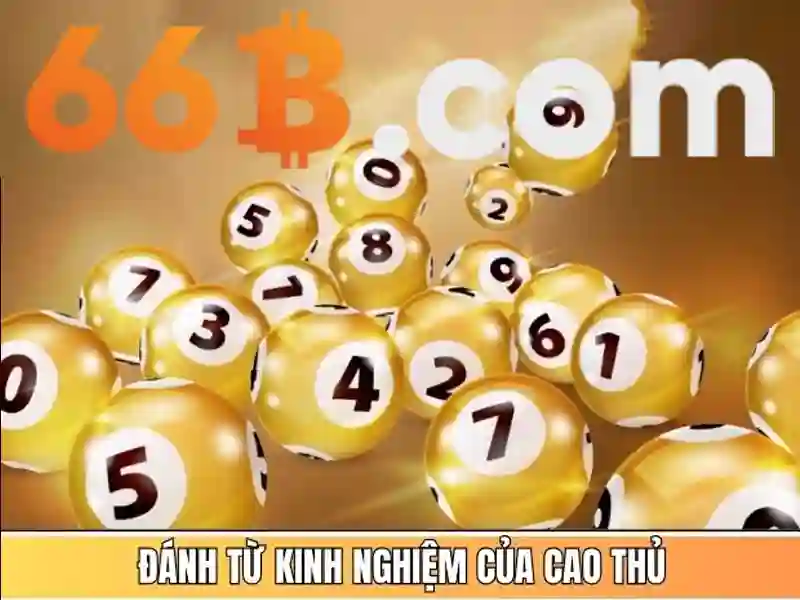 Ứng dụng trong thực tế và tương lai