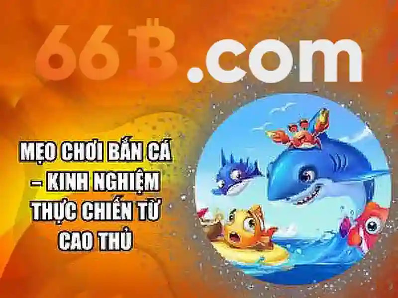 Hiệu suất và so sánh