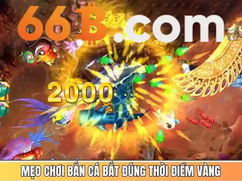 Sản phẩm và dịch vụ của xóc đĩa 66b