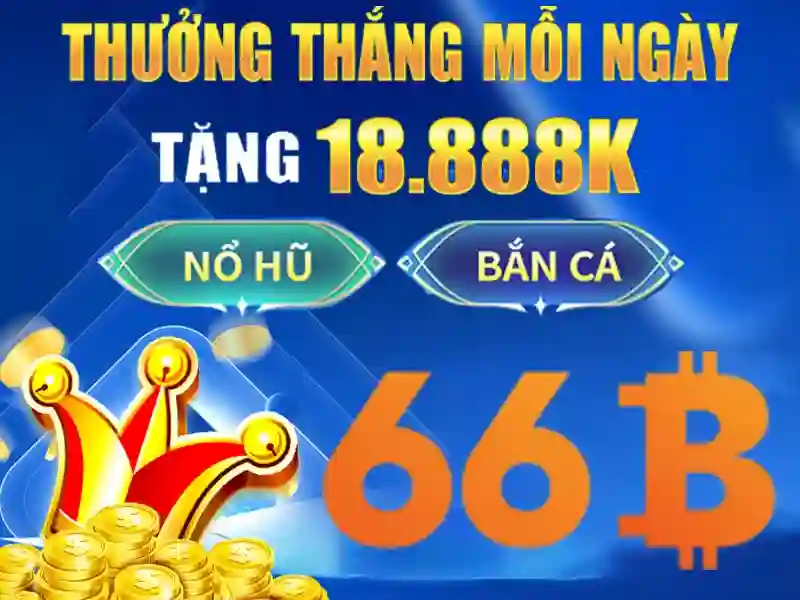 66B là gì?