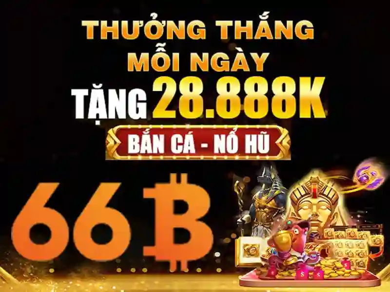 66b hoàn tiền – trải nghiệm, giá trị và hành trình thương hiệu